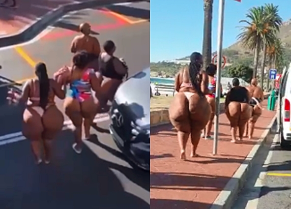 Mzansi Big Booty